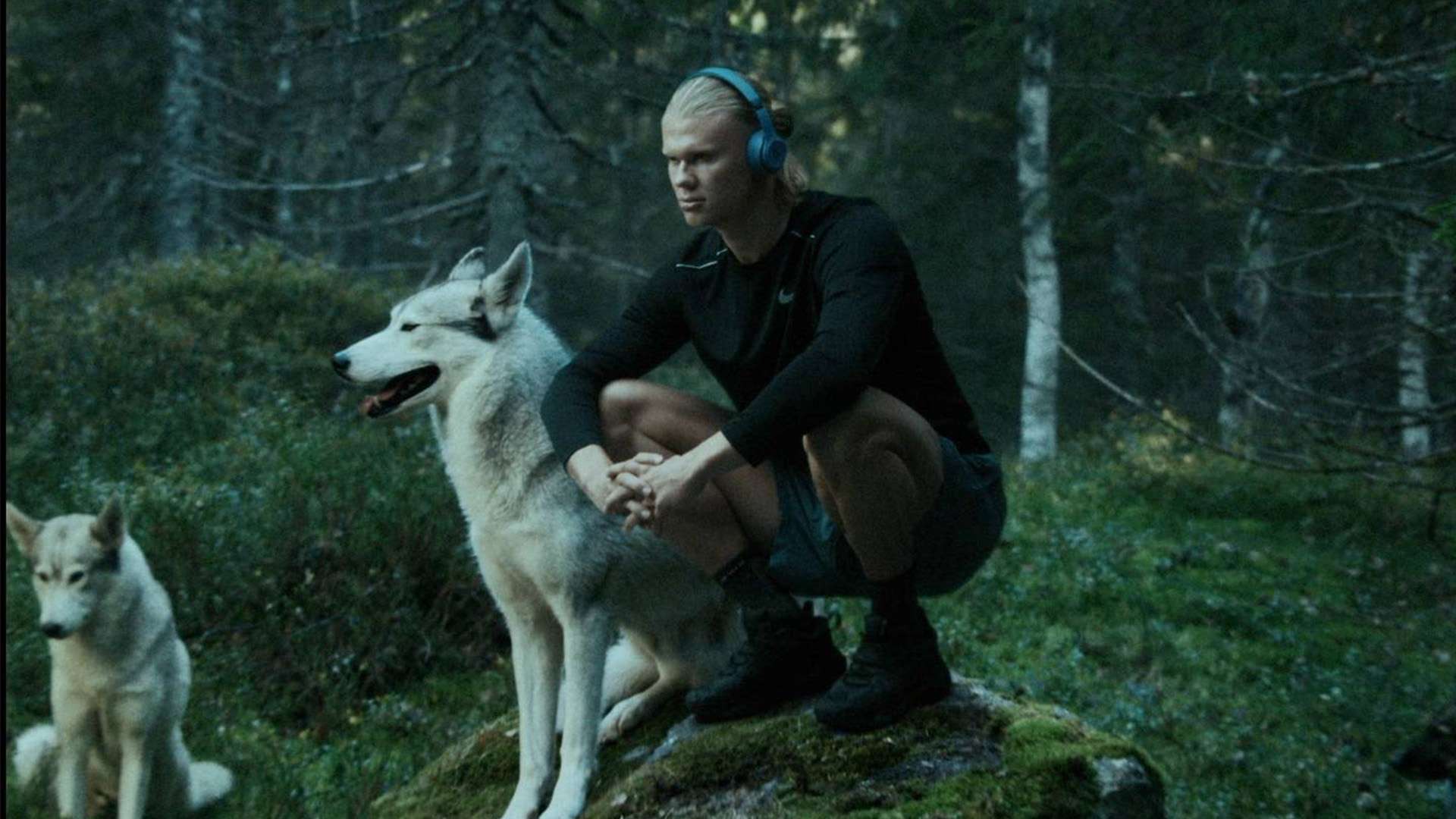 足球的热爱 足球的热爱