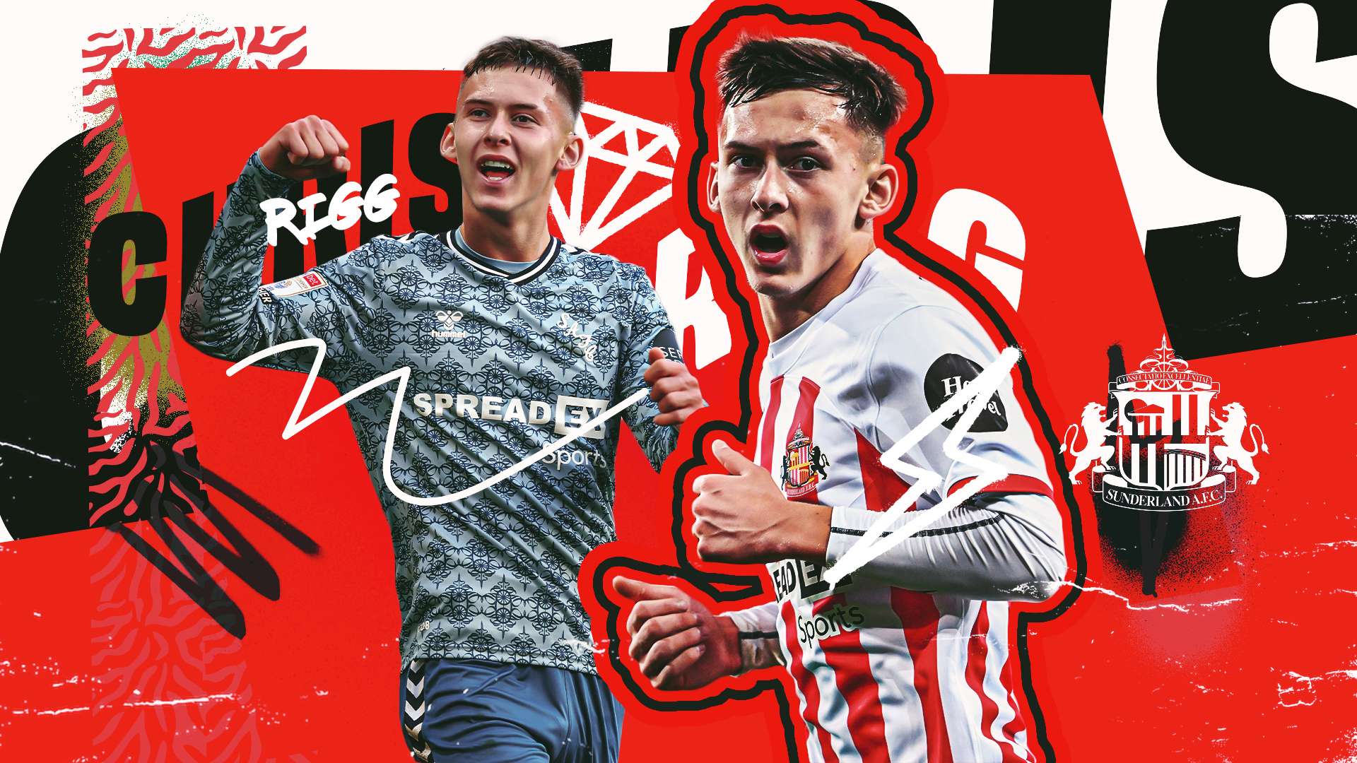 科雷亚的梅 科雷亚的梅