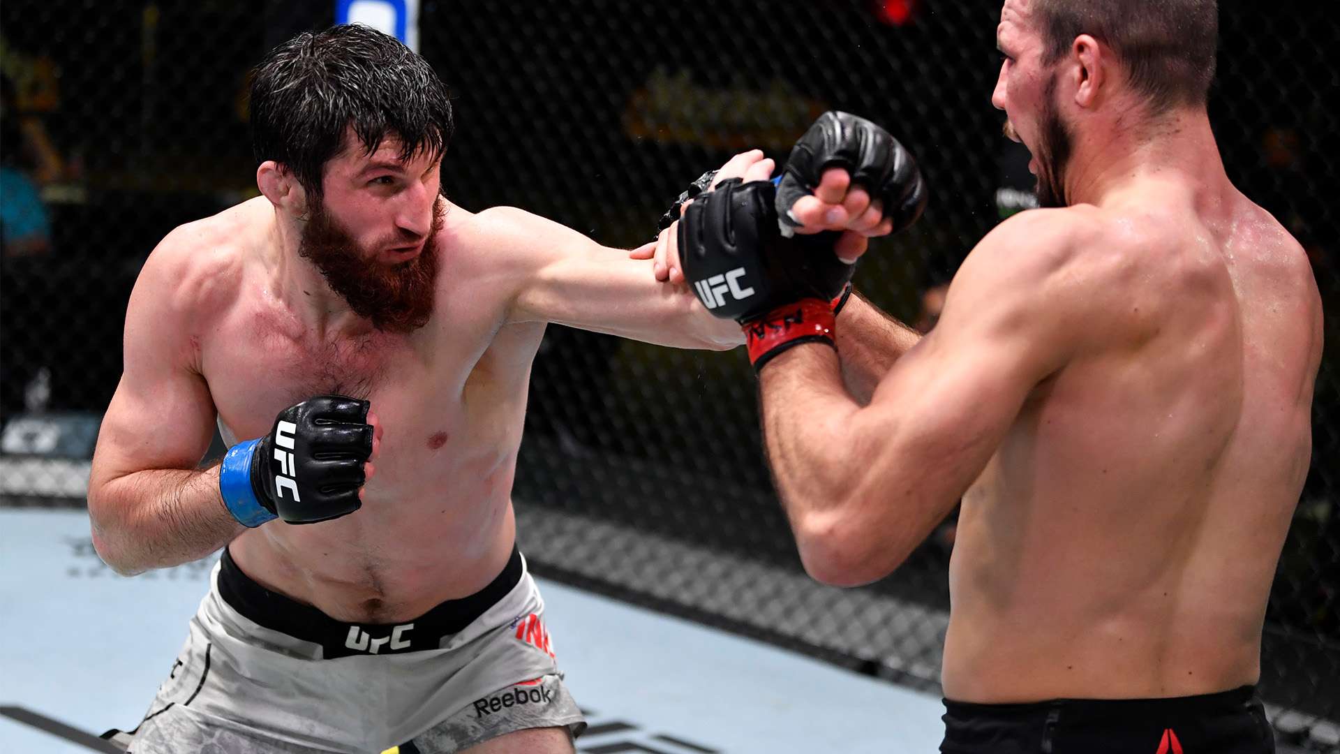 丰富的海岸 丰富的海岸